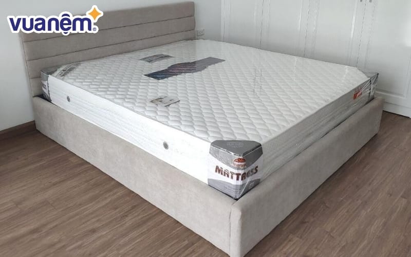 Nệm bông ép 1m2 x 1m9 Queens Sweet