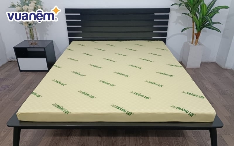 Sản phẩm nệm cao su non massage của Nệm Thắng Lợi