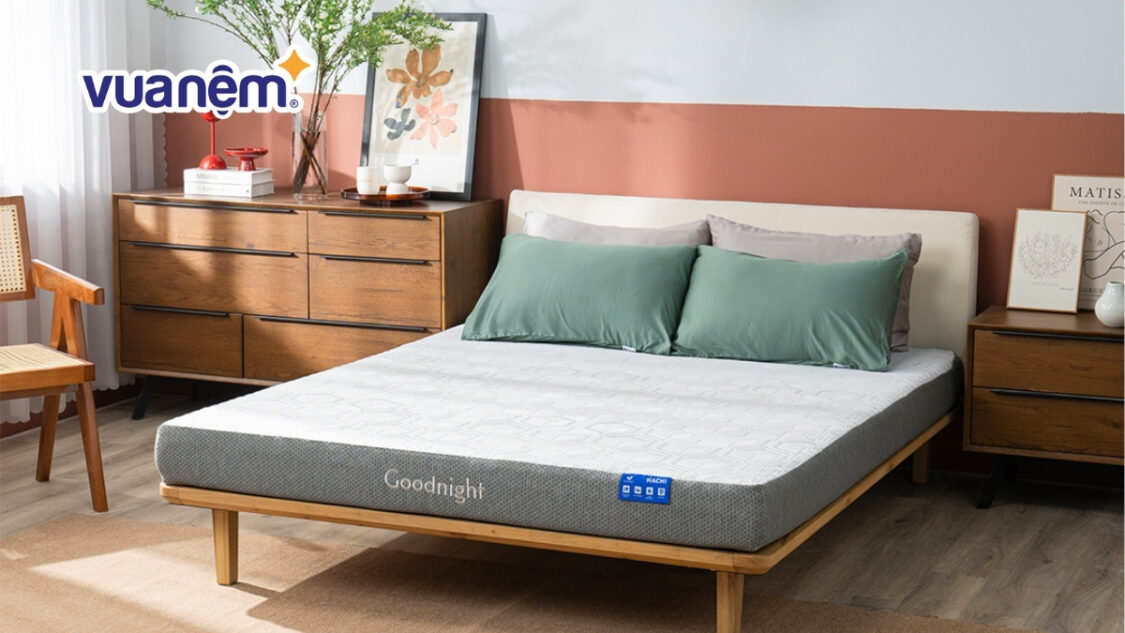 Nệm foam Goodnight Hachi