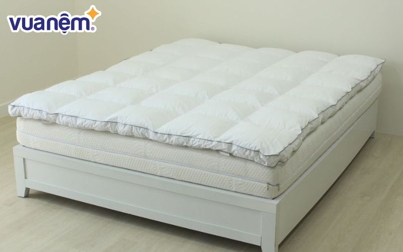 Mẫu nệm topper Edena tơ tằm