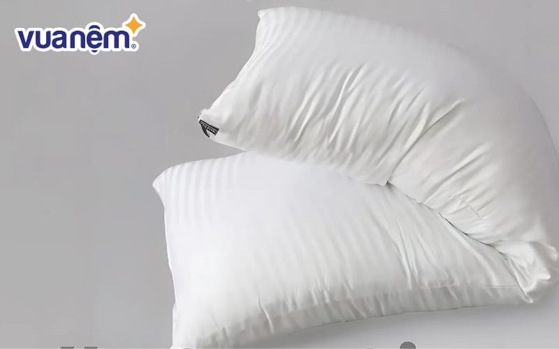 Ruột gối đôi bông gòn Young Rice