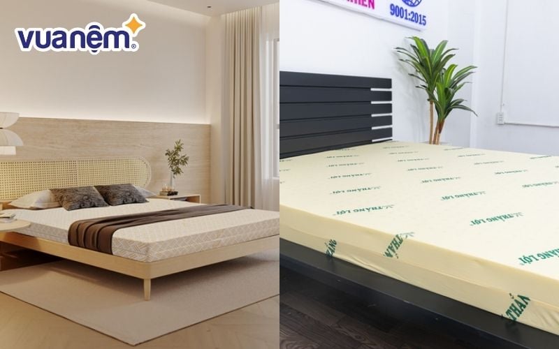 Nên mua nệm Kim Cương hay nệm Thắng Lợi phụ thuộc vào nhu cầu sử dụng