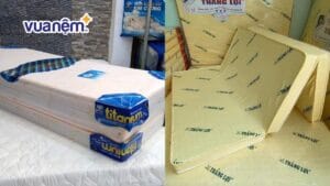 So sánh nệm Kim Cương và nệm Thắng Lợi: Nên mua nệm nào?