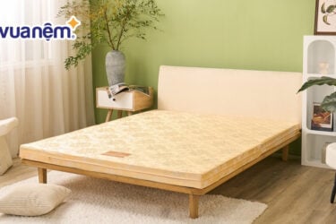Top 7 mẫu nệm bông ép tốt được ưa chuộng năm 2025