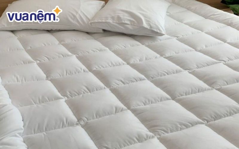 Tấm lót đệm Everon