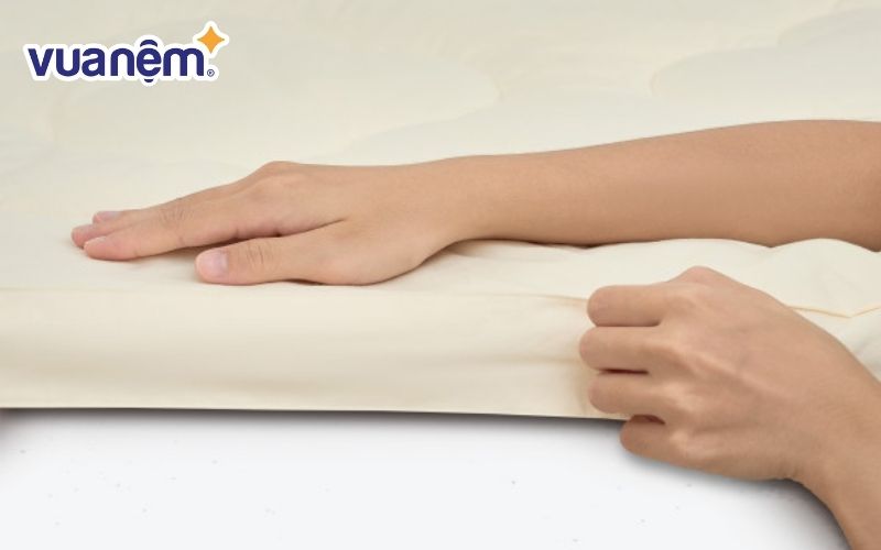 Tấm lót đệm Everon topper xơ đậu nành