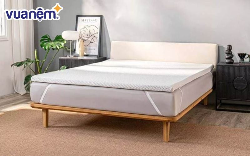 Topper khách sạn 5 sao Comfy Noah