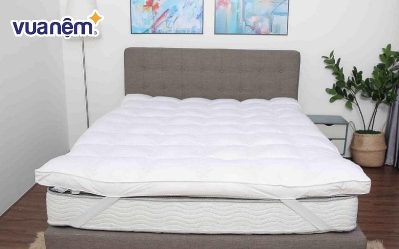 Đệm topper 10cm Cosset
