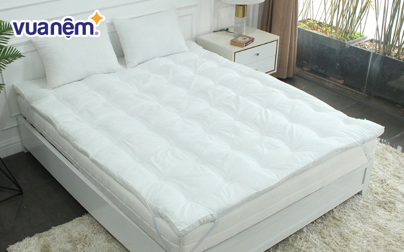 Nệm topper Edena Luxe dày 5cm