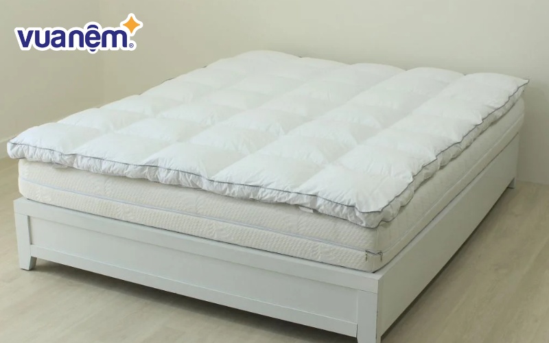 Topper đệm tơ tằm Edena