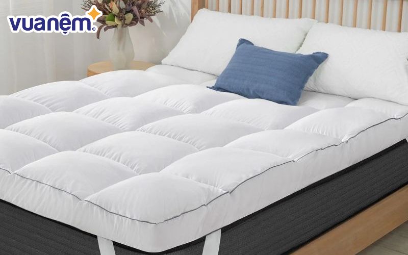 Tham khảo kinh nghiệm giúp chọn được topper 1m6 phù hợp