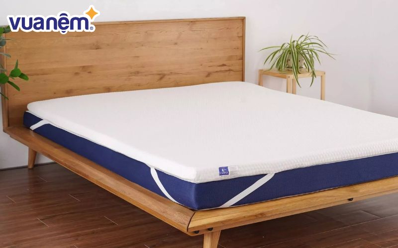 Topper Goodnight Carina