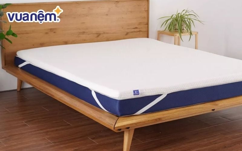 Topper nệm 1m8 memory foam trà xanh Goodnight Carina