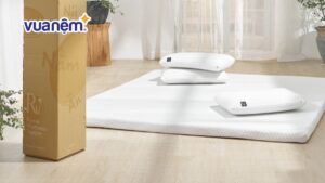 Bảng giá topper nệm Ru9 chính hãng mới nhất năm 2025