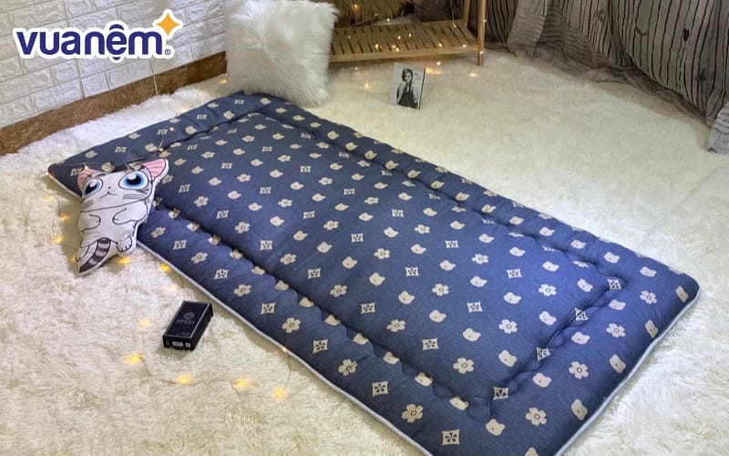 Topper IKEA là dòng sản phẩm cao cấp được thiết kế theo tiêu chuẩn châu Âu, mang đến sự thoải mái và an toàn cho người sử dụng. 