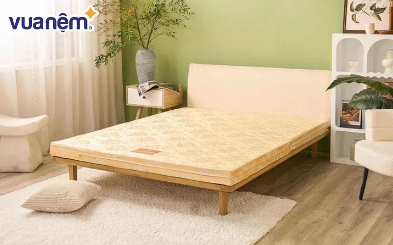 Vua Nệm - Cung cấp đa dạng các mẫu nệm chất lượng, giá tốt