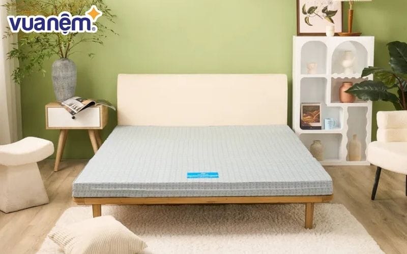 Vua Nệm - Địa chỉ cung cấp nệm sinh viên chính hãng, giá tốt