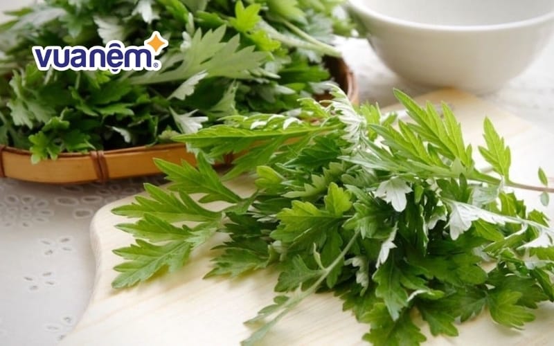 Cách trị mạt gà trong phòng ngủ theo phương pháp dân gian là dùng ngải cứu vò nát rải trong phòng ngủ