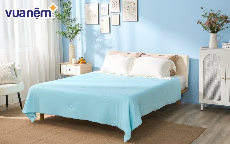 Dòng chăn lạnh AMD Azami luôn mang lại chất lượng vượt trội cho người dùng