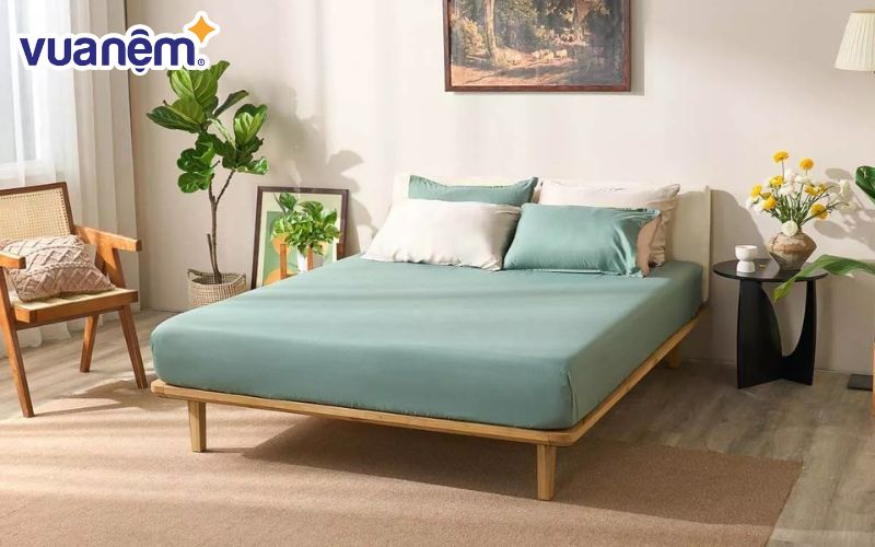 Mệnh Mộc đại diện cho sự sinh trưởng và hòa hợp với thiên nhiên