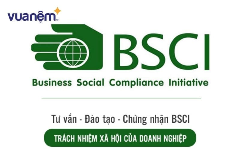 Một số sản phẩm nệm của Vua Nệm cũng đạt chứng nhận BSCI
