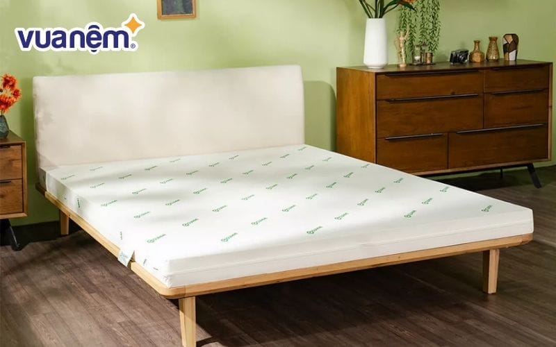 Nệm cao su Gummi Lite được chứng nhận quốc tế về độ an toàn
