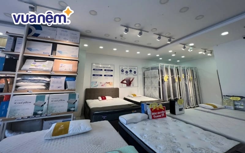 Các sản phẩm tại Vua Nệm rất đa dạng