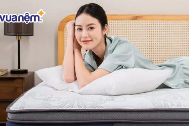 độ đàn hồi nệm