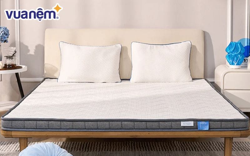 Nệm foam iComfy Basic 1.0 giá tiết kiệm