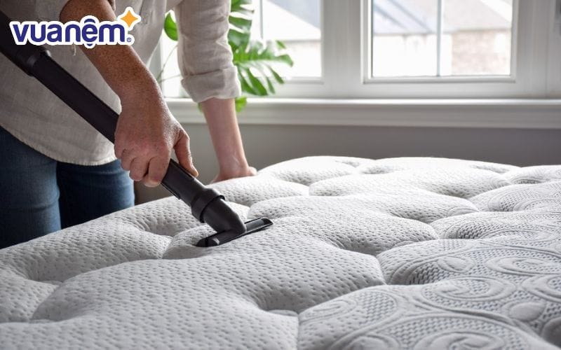 Bạn chỉ nên sử dụng máy hút bụi chuyên dụng và các dung dịch có khả năng tẩy rửa nệm