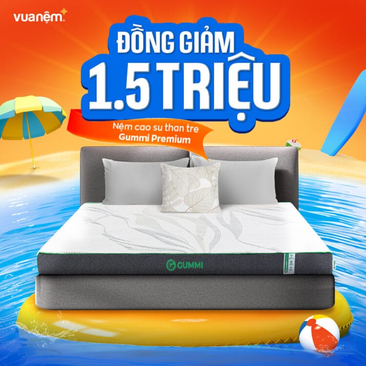 Nệm Gummi Premium