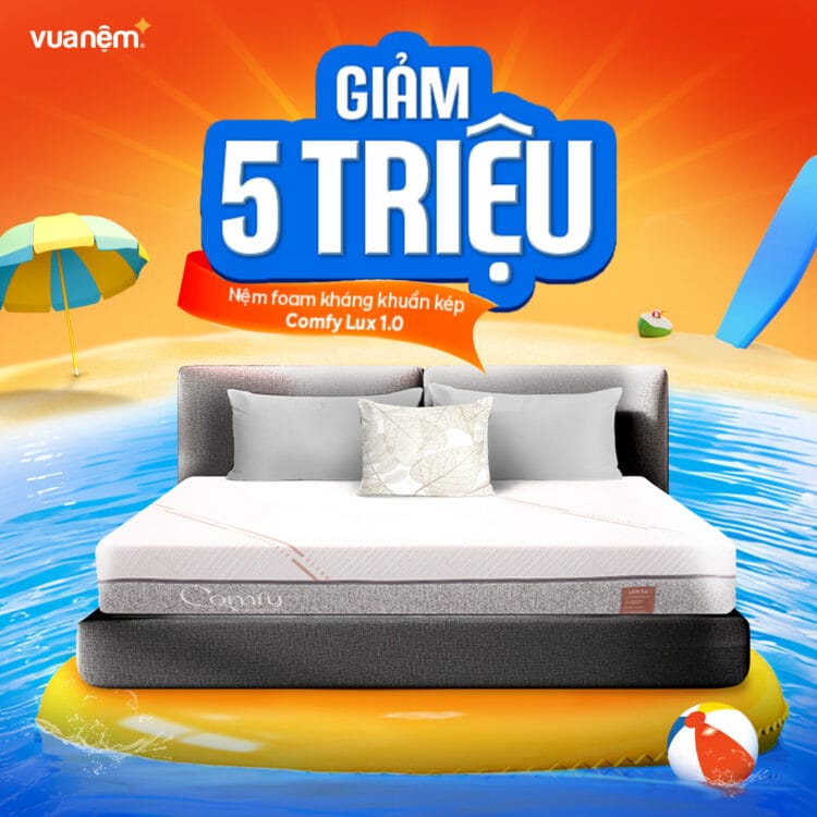 Nệm Comfy Lux 1.0