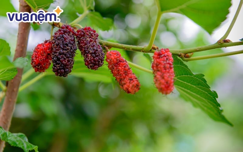 Khi bé cảm thấy thoải mái, giấc ngủ cũng sẽ đến nhanh hơn và sâu hơn