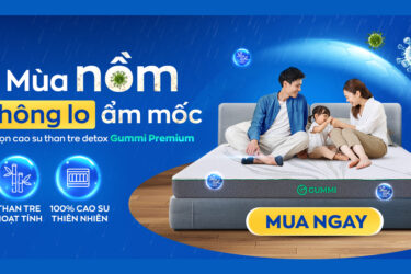 Nệm ẩm trong mùa nồm: Nguyên nhân và 6 cách xử lý hiệu quả