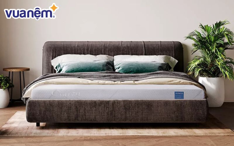 Nệm Comfy Cloud 1.0