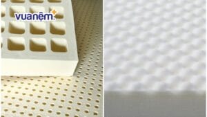 Tại sao nệm cao su đắt hơn nệm foam? Giải thích từ chuyên gia