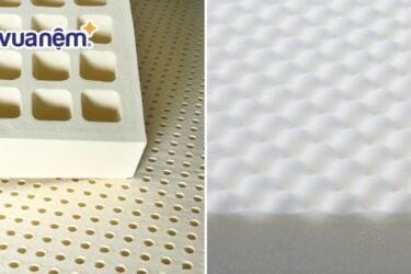 Tại sao nệm cao su đắt hơn nệm foam? Giải thích từ chuyên gia