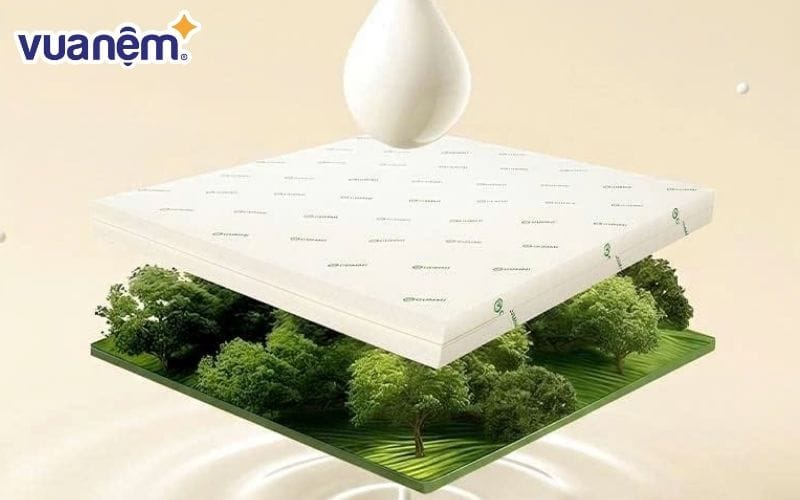 Nệm cao su là nệm có tuổi thọ cao nhất trong 4 dòng nệm phổ biến