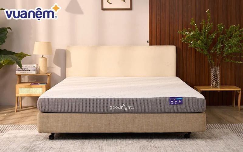 Nệm foam Goodnight Massage 2.0 (Hachi) giảm áp lực dày 15cm