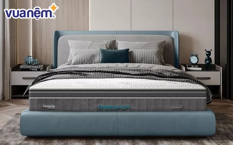 Thương hiệu Dunlopillo được người tiêu dùng trên toàn cầu tin tưởng