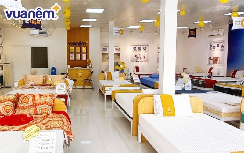 Vua Nệm - Địa chỉ uy tín mua nệm gối hỗ trợ tư thế ngủ đúng