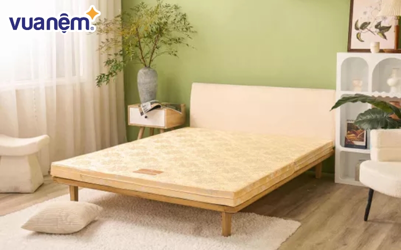 Nệm bông ép Wonjun Pure Carbon hỗ trợ giảm đau lưng hiệu quả.