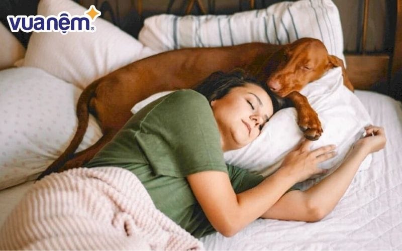 Nhiệt độ ảnh hưởng đến giấc ngủ như thế nào?