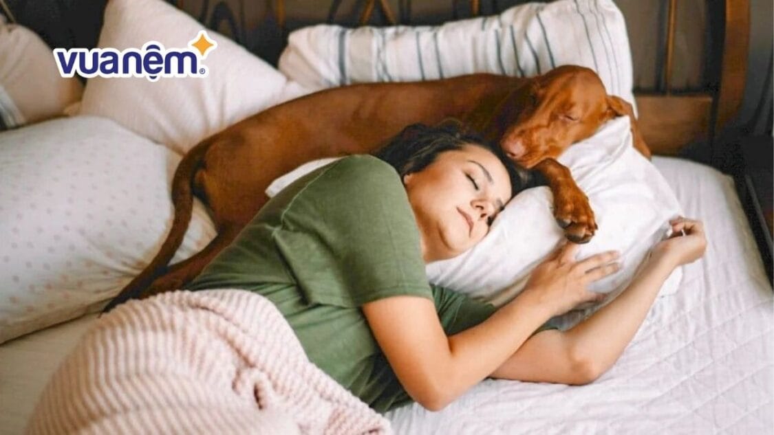 Nhiệt độ tốt nhất cho giấc ngủ vào mùa hè