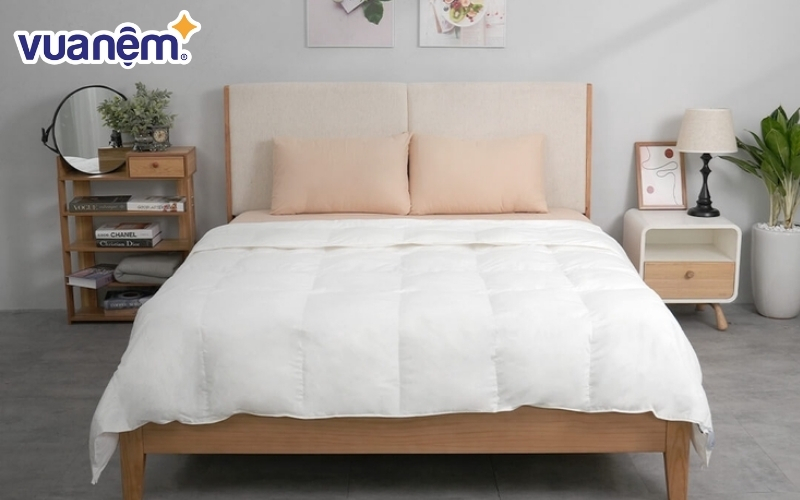 Nên chọn chăn có vật liệu giữ nhiệt tốt, thoáng khí và nhẹ