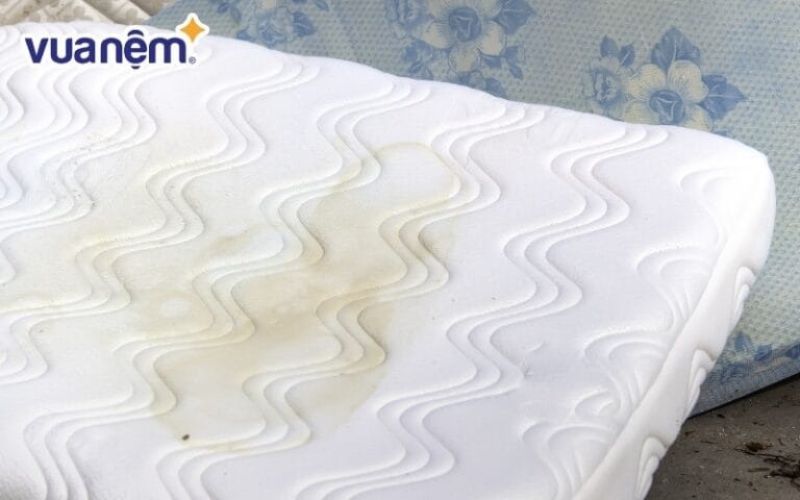 Nệm chăn ga gối là nơi dễ tích tụ vi khuẩn nhưng lại ít được quan tâm khi vệ sinh nhà cửa