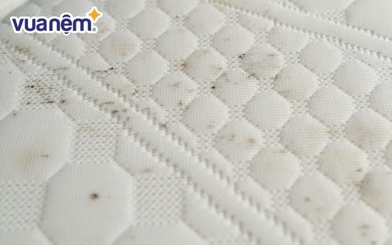 Số lượng vi khuẩn trên nệm chăn ga gối có thể tăng theo thời gian nếu không được vệ sinh thường xuyên