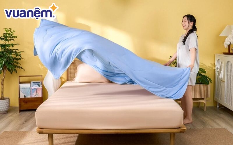Bạn nên duy trì thói quen vệ sinh định kỳ để nệm và chăn ga gối luôn sạch sẽ