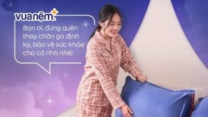 “Soi” vi khuẩn trên nệm chăn ga gối và cách xử lý hiệu quả