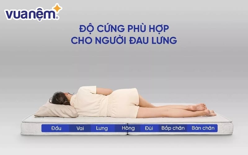 Đệm bông ép có độ cứng phù hợp với người đau lưng